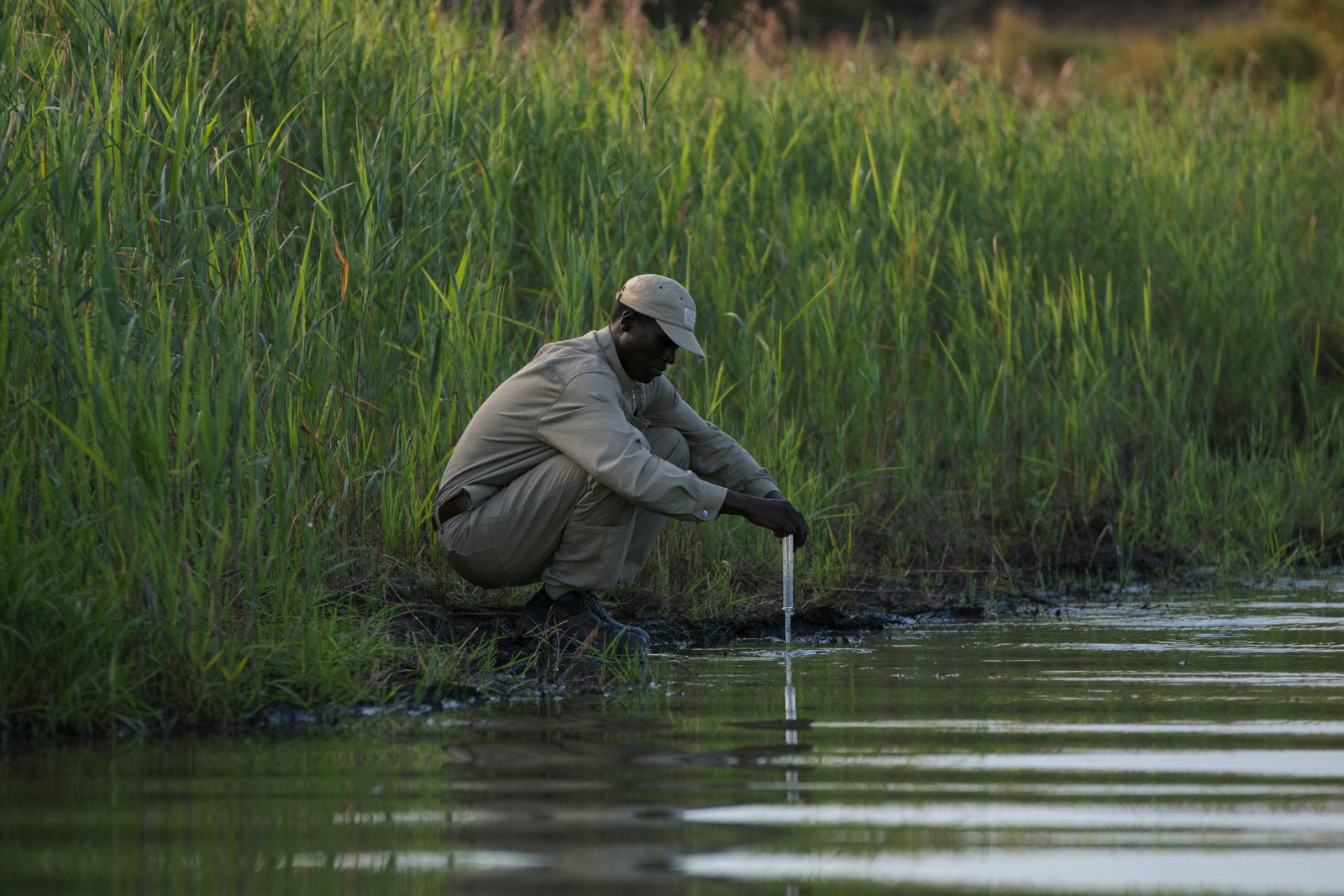 Environmental consultant collecting a water sample at the edge of a wetland